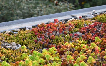 the cost of Norton Sub Hamdon green roof installation