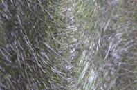 Norton Sub Hamdon fibreglass roof work